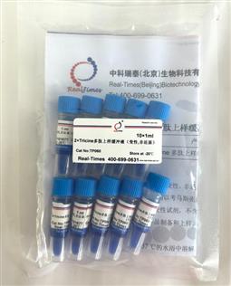 2×Tricine多肽上樣緩沖液（變性，非還原）