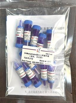5×MonoColor 蛋白上樣緩沖液 (變性，非還原)